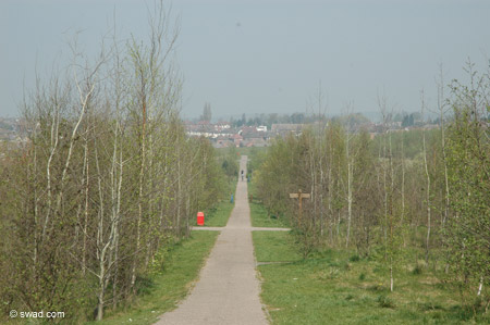 Swadlincote Woodlands